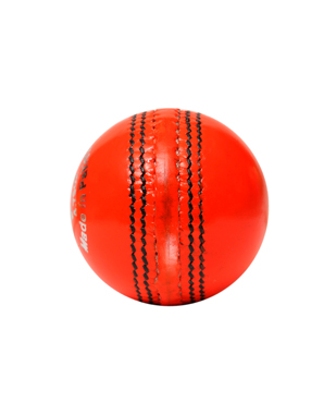 Cricket Hard Ball Junior